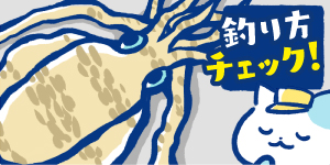 アオリイカが釣れない