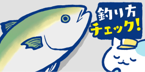 ブリが釣れない