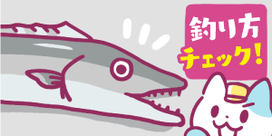 タチウオテンヤで釣れない!