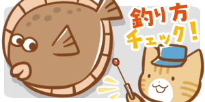 ヒラメが釣れない