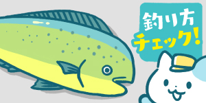 ショアからシイラが釣れない