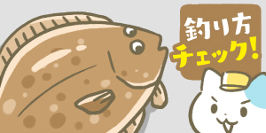 カレイが釣れない