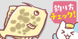 カワハギが釣れない