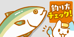 ハマチが釣れない