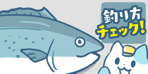 ショアからサワラが釣れない